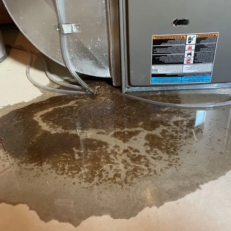 Pipe Burst and Leak Restoration in Canaan, CT
