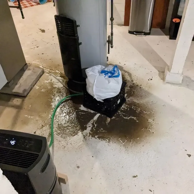 Sewage Backup Cleanup Service in Canaan, CT